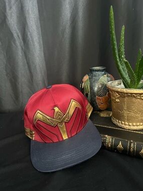 DC Comics Red & Blue Wonder Woman/Batman Logo Cap